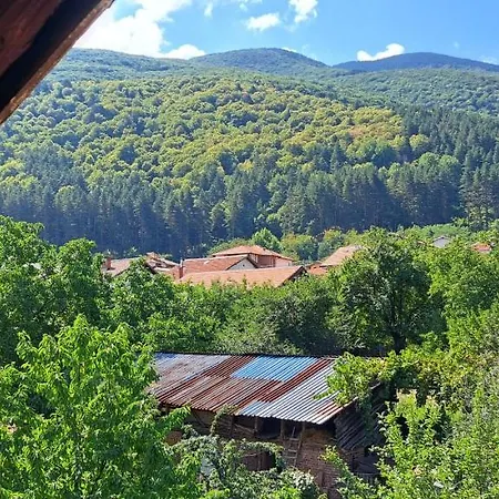 Guest house квартири уют